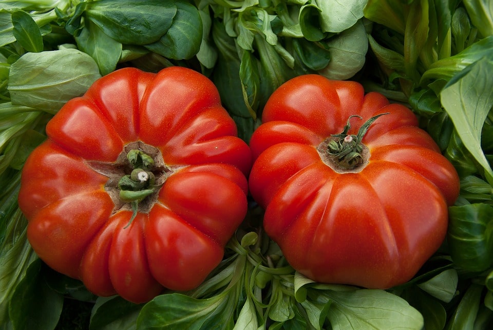 Summer Gardening Tips - A variety of heirloom and hybrid tomatoes excel in the heat