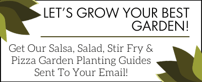 Copy of Let's Grow Your Best Garden! (2)